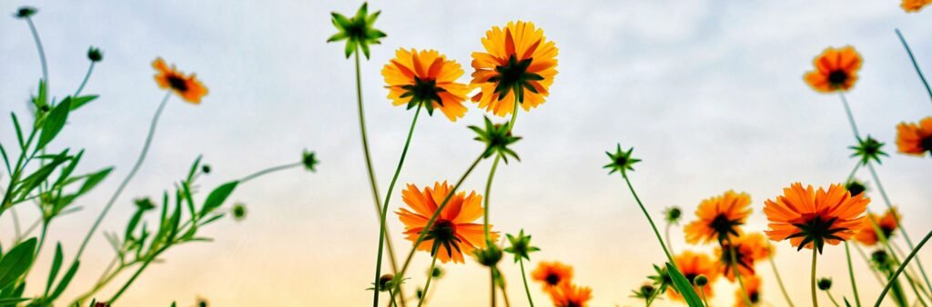 LGBTQ friendly psychiatrist Arizona